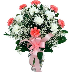 Pretty Carnations