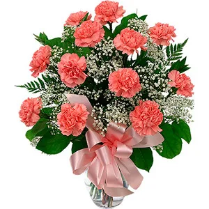 Pink Carnations
