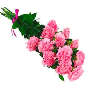 Pink Carnations Bouquet