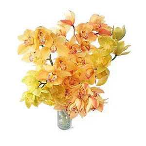 Orchid Bouquet