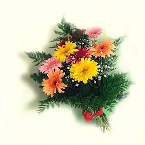 Bouquet of Gerberas