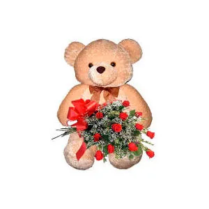 Roses & Large Bear