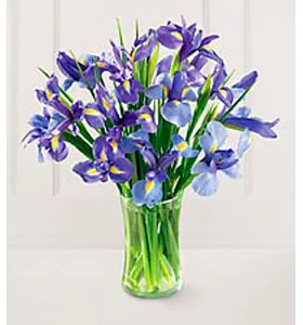 Blue Iris Bouquet