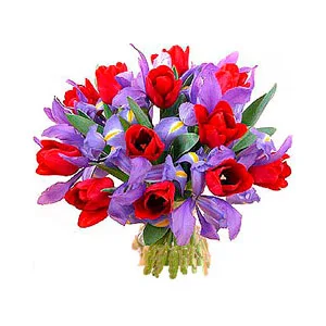 Iris & Red Tulip Bouquet