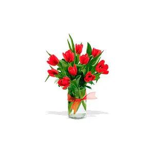 Red Tulips