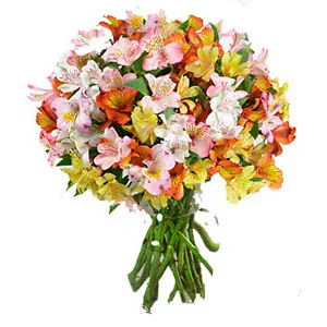 Peruan Lilies Bouquet
