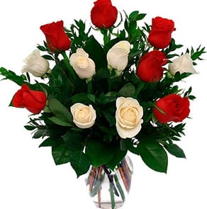 Red and White Roses