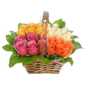 Magic of Roses