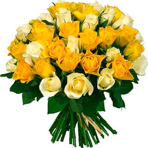Mixed Roses Specials