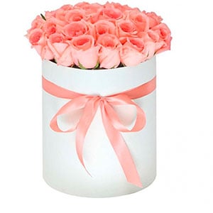 Pink Roses in a Round White Box