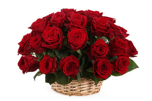 Basket of red roses