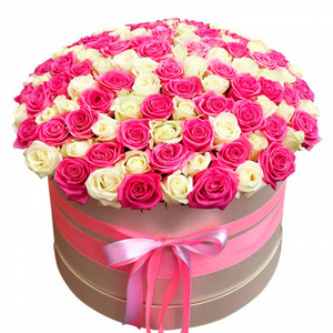 101 roses pink and white in box