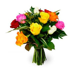 One Dozen Multicolored Roses