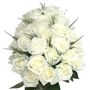 Two dozen white roses