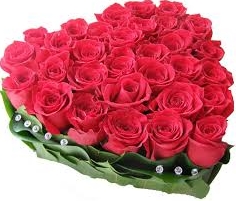 Heart of pink roses