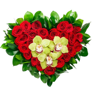 Heart of roses and orchids