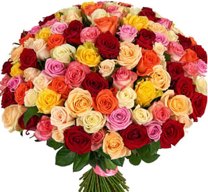 Bouquet of 101 multicolor roses
