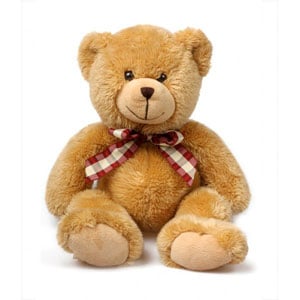 Large Teddy Bear
