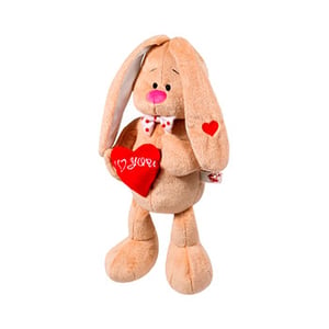 Baby rabbit with heart