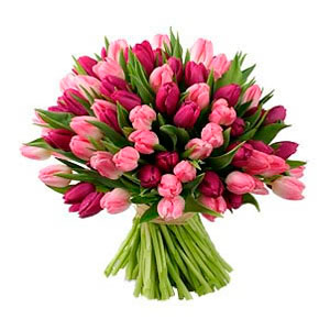 Beautiful Bouquet of Tulips