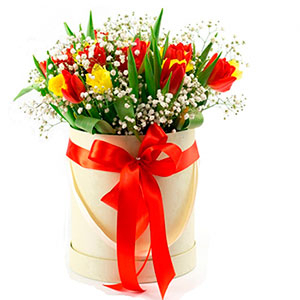 MixedTulips in a Round White Box