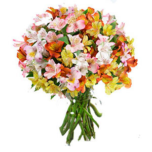 Peruan Lilies Bouquet