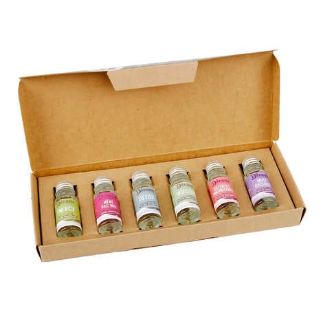 Dizane discovery box - 6 miniatures of organic plant concentrates to dilute