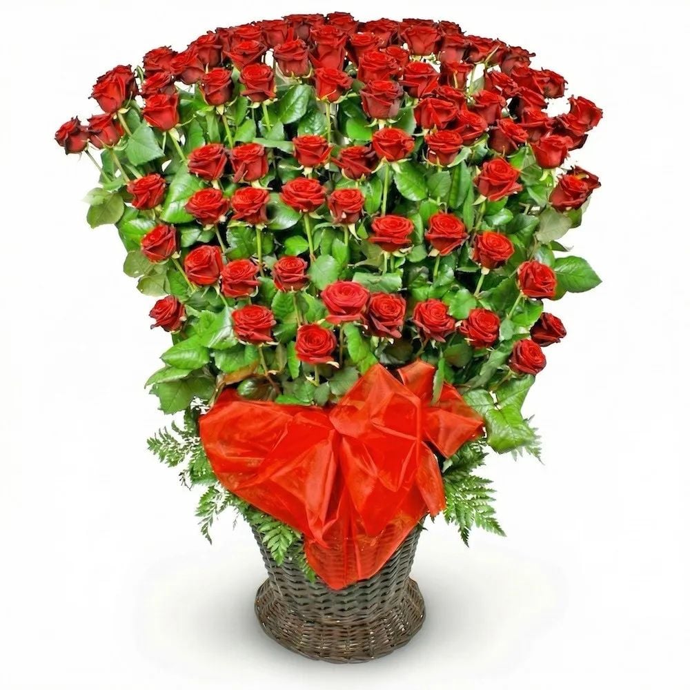 Rose cascade composition (Medium (recommended))