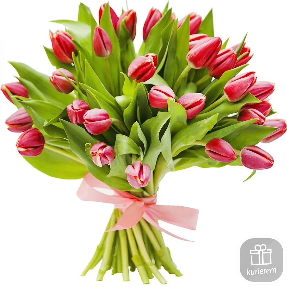 21 red tulips