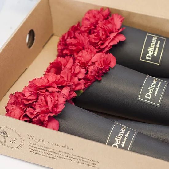 Red carnations in a black cone (Small)