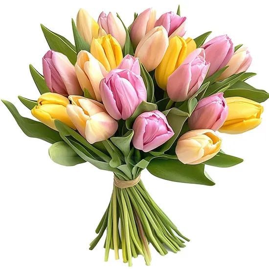 Fresh Tulips (Small)