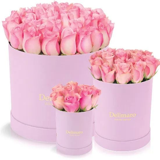 Pink roses in a pink box (Small)