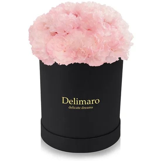 Pink carnations in a black box (Small)