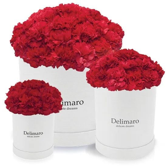Red carnations in a white box (Small)