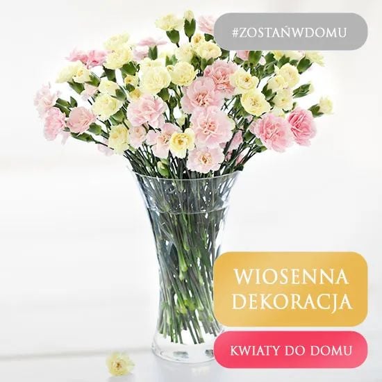 Flowers to your home - Carnations (Small)