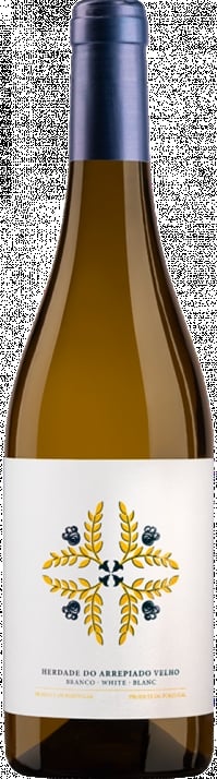 Repaired 2021 Alentejo
