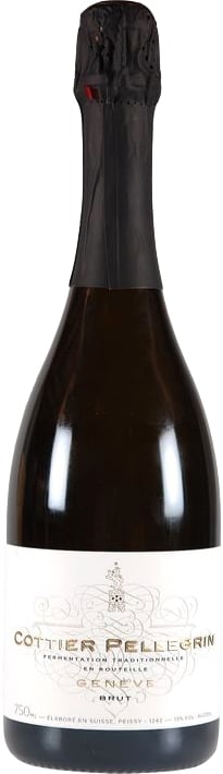 Cottier 2017 Geneva