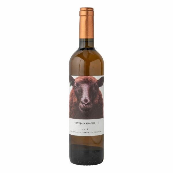 Orange Sheep