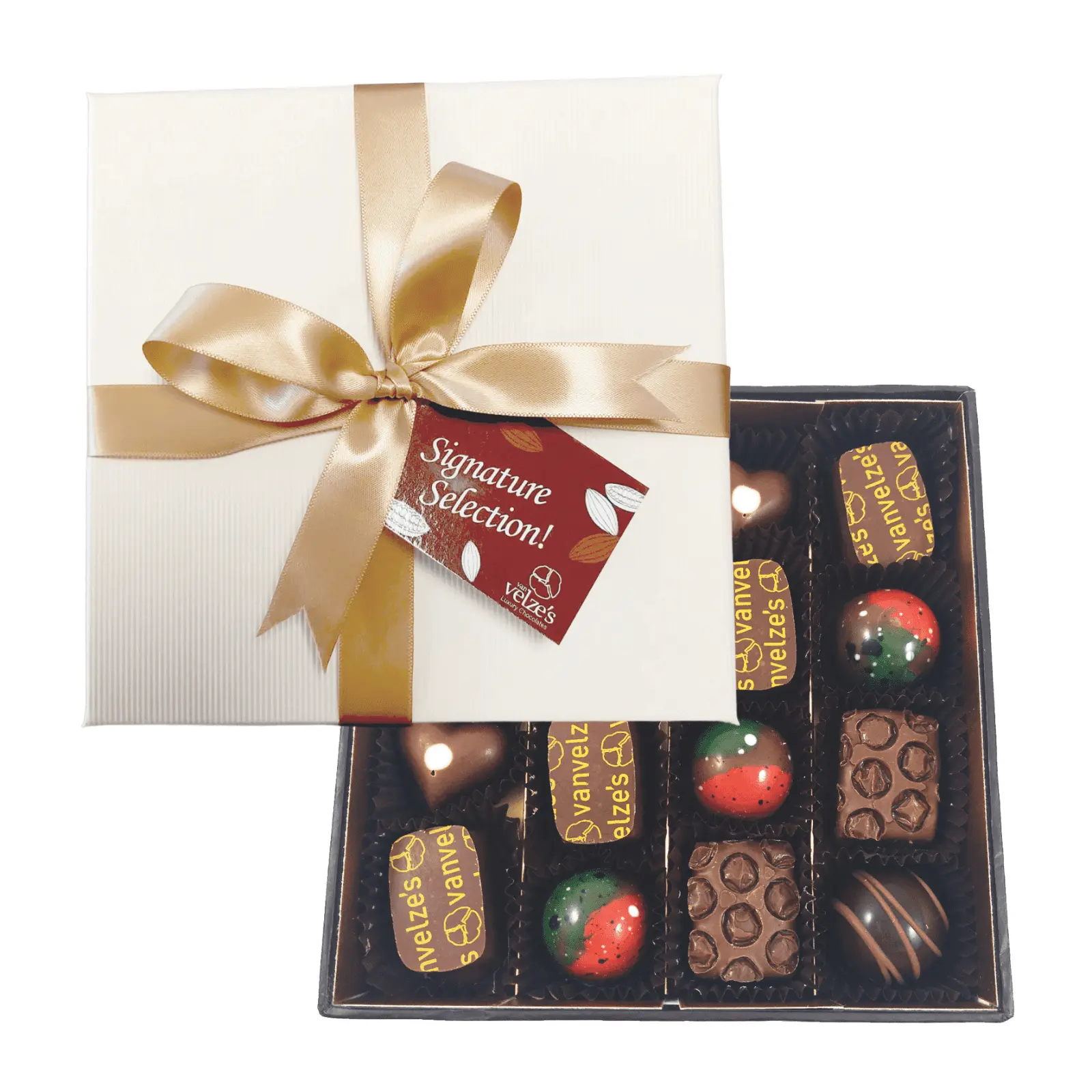 Van Velzes Signature Chocolate Selection 192g