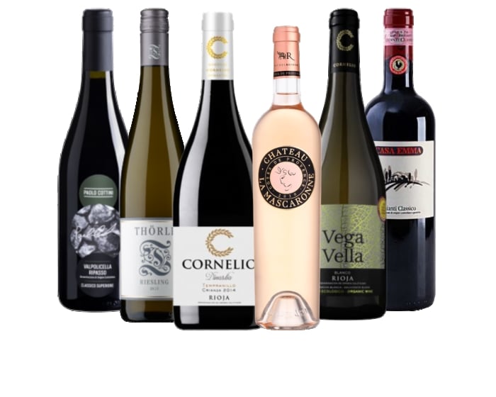 6 Bottle Old World Selection