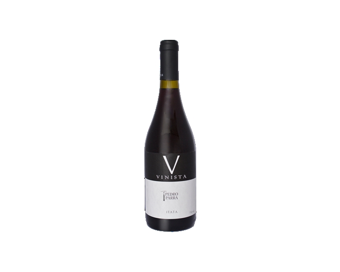 Pedro Parra `Vinista` Itata Valley Pais 2019