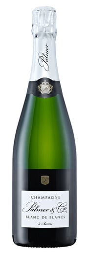 Palmer Blanc de Blancs Brut