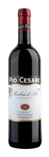 Pio Cesare Barbera d'Alba 2021