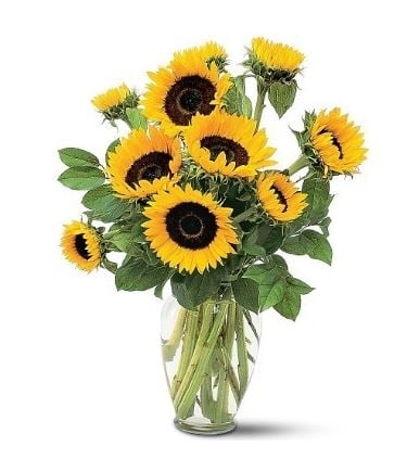 Sunflowers. Vase included