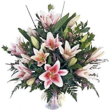 Stargazers Lilies