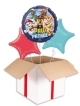 Best Wishes Painted Foil Balloon (3 Balloons Gift Boxed)