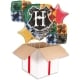 Happy Birthday Unicorn Balloon (3 Balloons Gift Boxed)