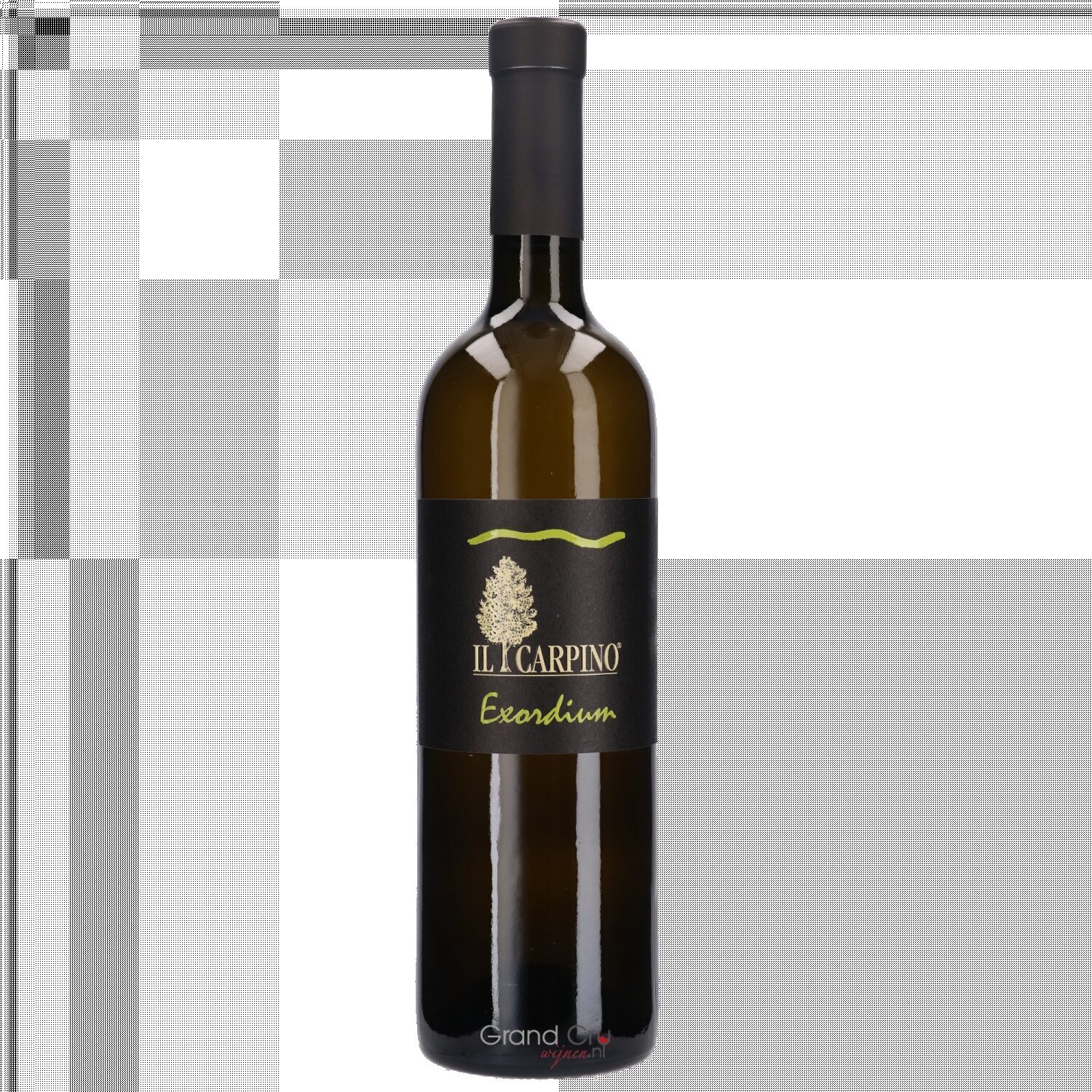 2012 Il Carpino Exordium