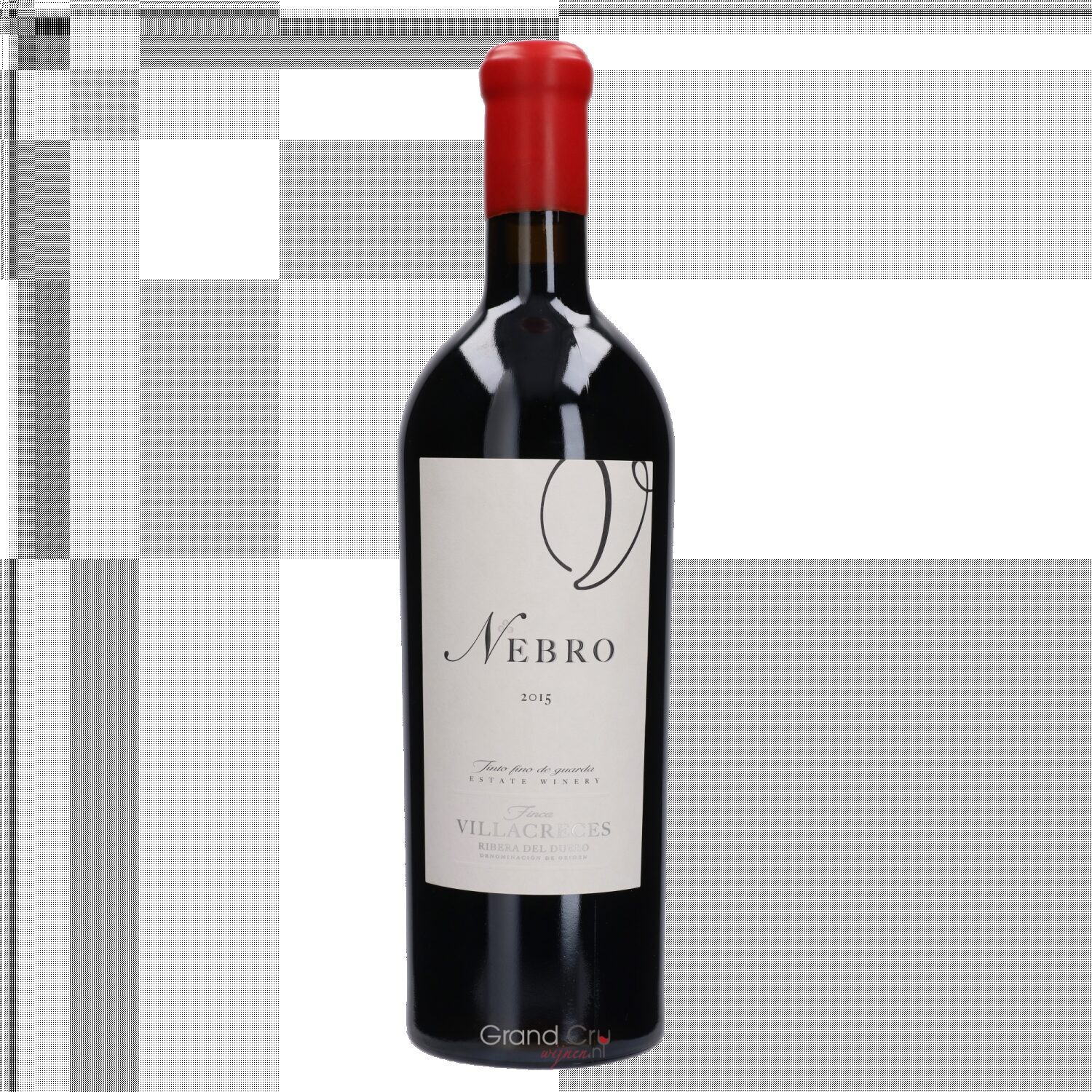 2019 Finca Villacreces Nebro
