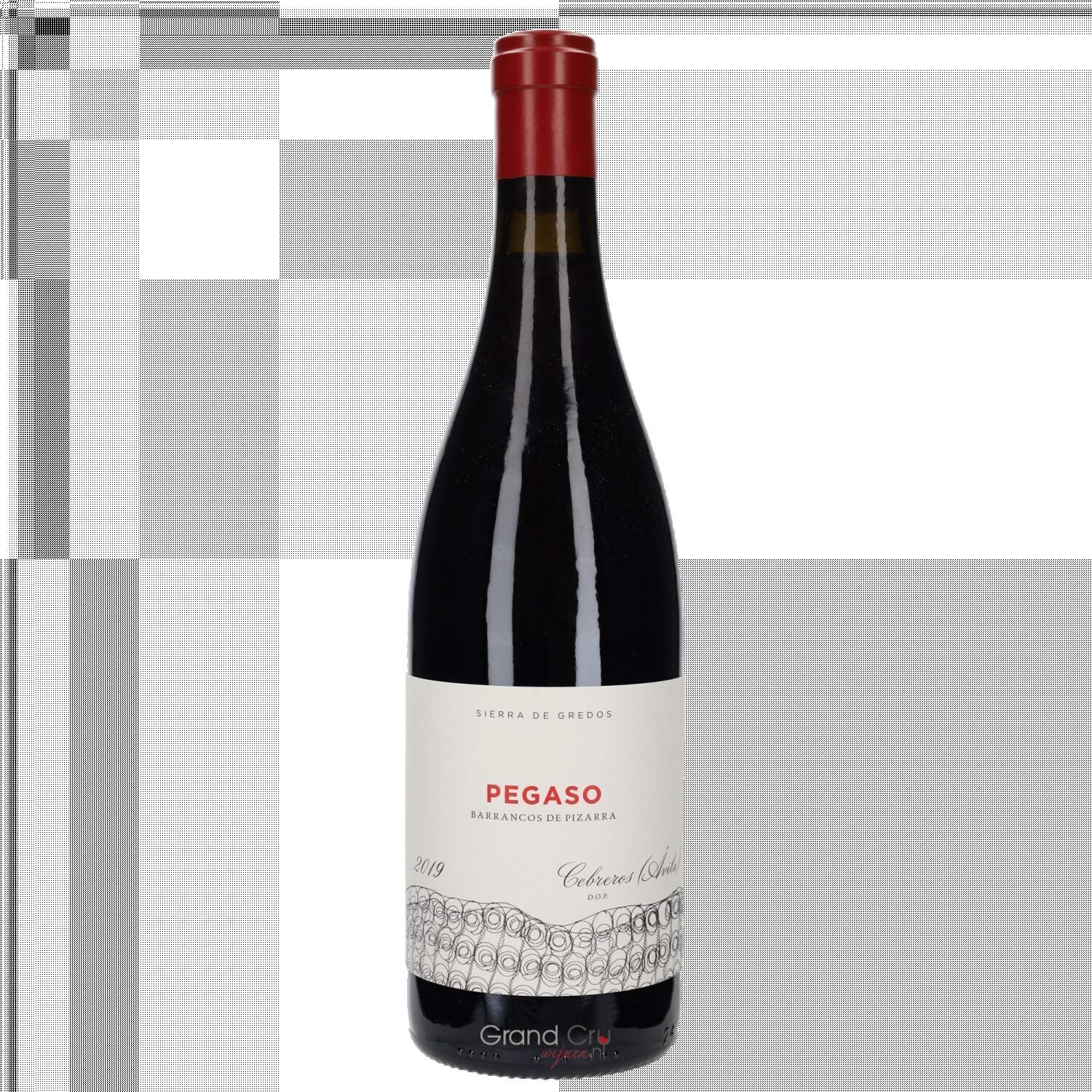 2019 Telmo Rodriguez Pegaso Barrancos de Pizarra (licht beschadigd)